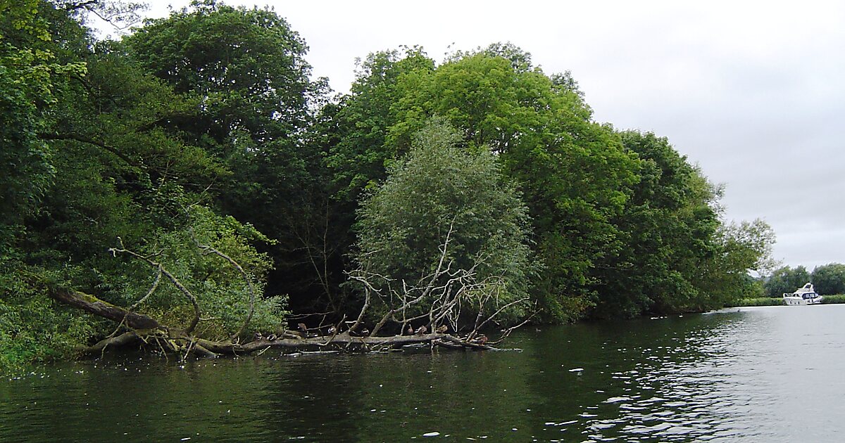 Magpie Island in Wokingham, UK | Tripomatic