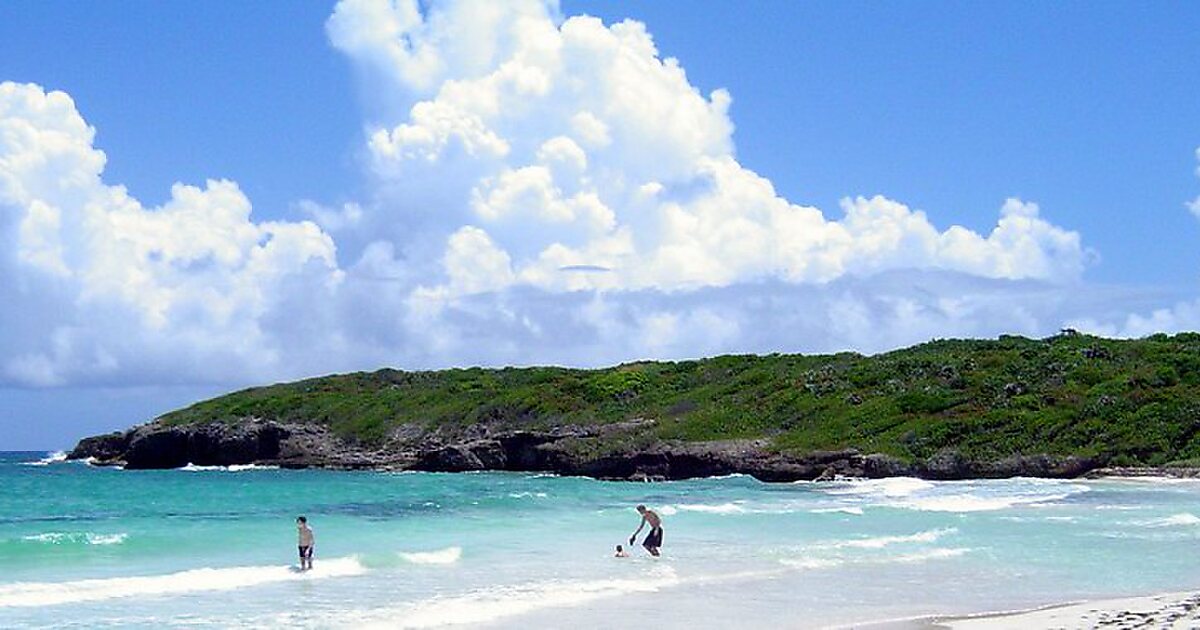 Mosquito Bay in Puerto Rico, USA Sygic Travel