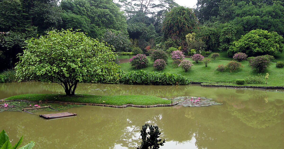 Real Jardín Botánico de Peradeniya en Kandy, Sri Lanka Tripomatic