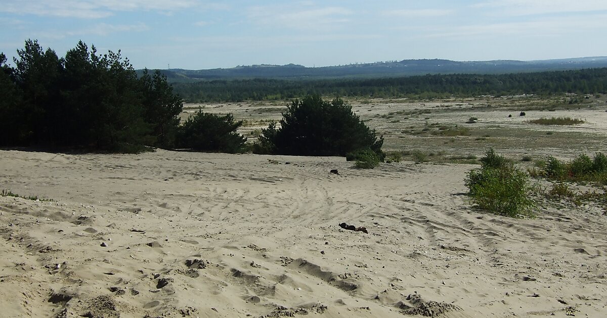 Deserto De Bledowska E a Maior área De Areia Movediça Na Polônia.  Localizada Na Fronteira Do Planalto Da Praça Da Praça Da Praça D Foto de  Stock - Imagem de colorido, floresta