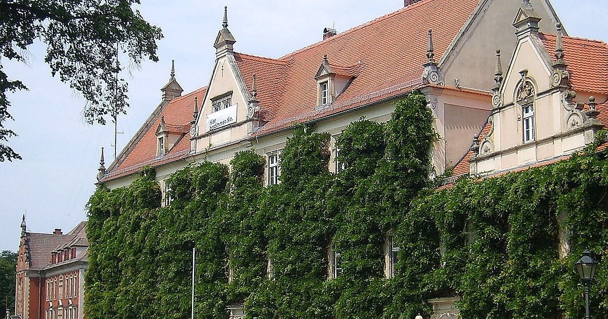 Германия риза на