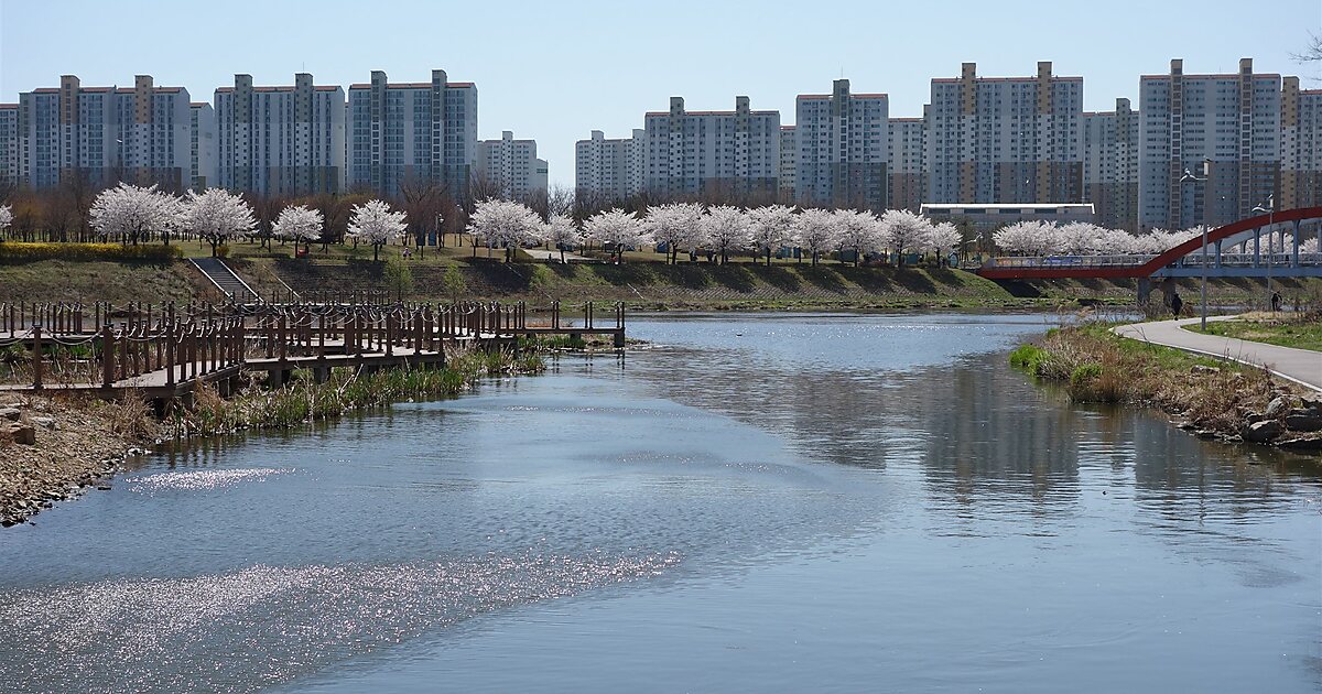 Ansan Cityscape