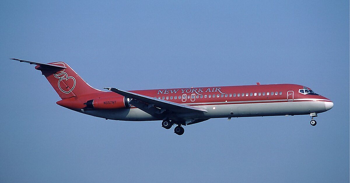 Austral Líneas Aéreas Flight 2553 in Río Negro, Uruguay Tripomatic
