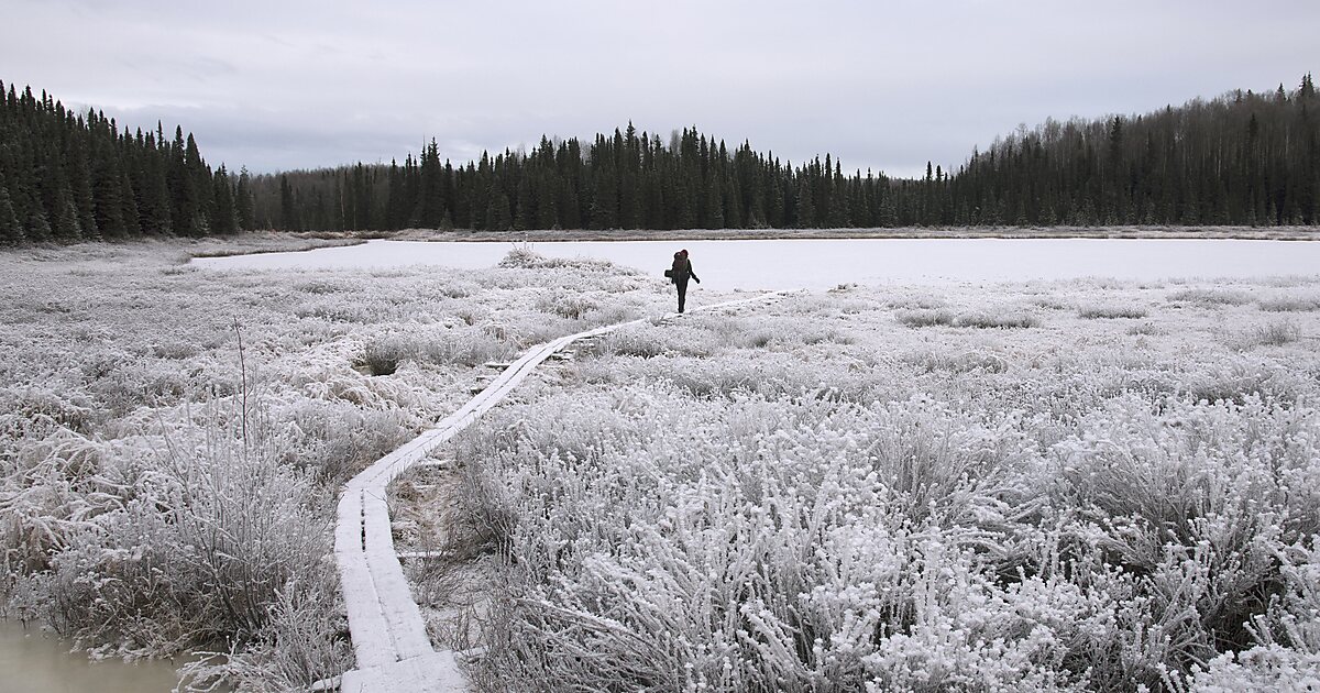 Nancy Lakes Recreation Area In Alaska United States Sygic Travel