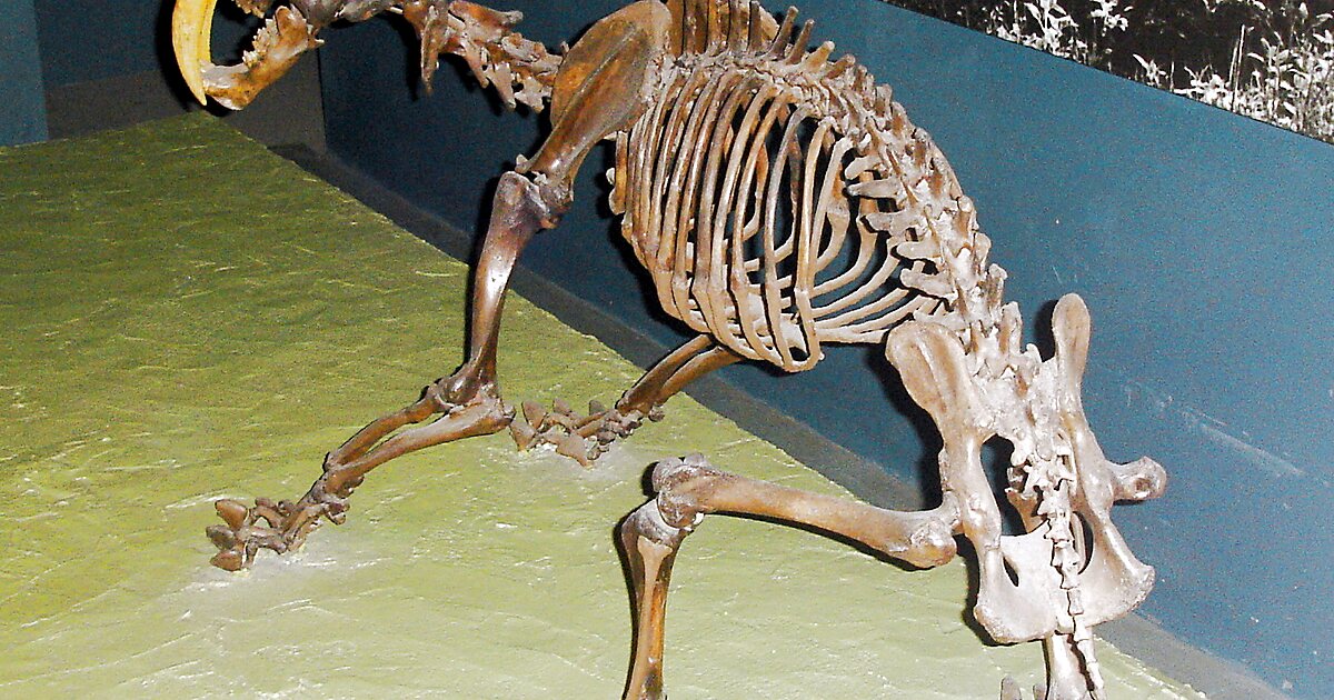 Cumberland Bone Cave in Maryland Sygic Travel