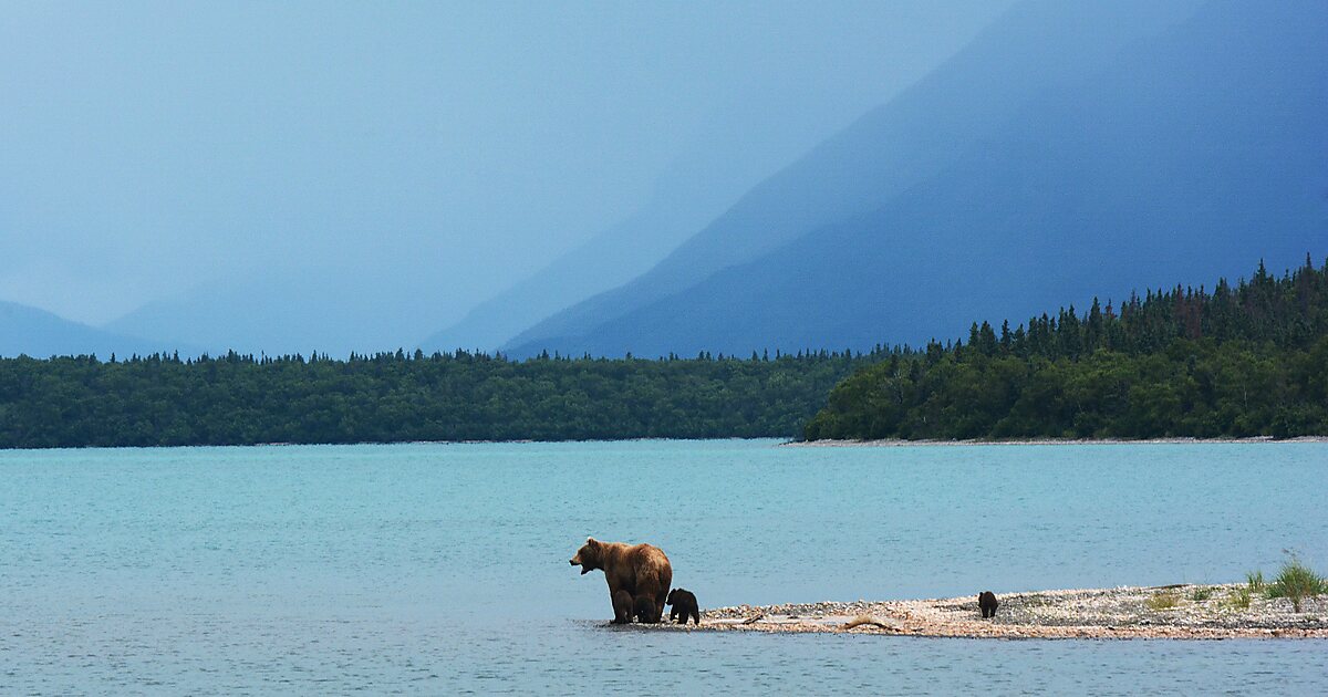 Naknek Lake in Alaska | Tripomatic