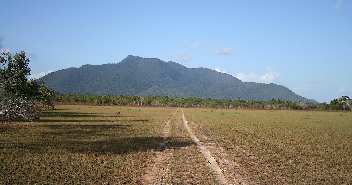 Sabana de Rupununi en Guyana | Tripomatic