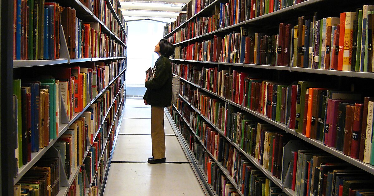 Библиотека американской литературы. Миннеаполис библиотека. Library слово. Advocates Library.