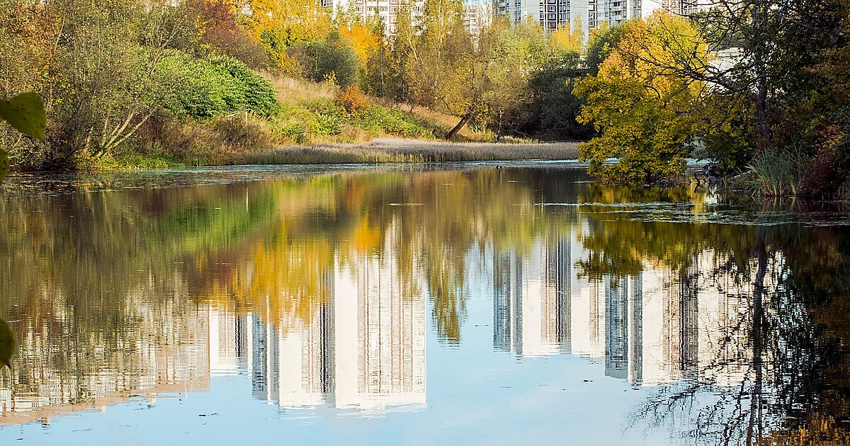 Каменка зеленоград карта