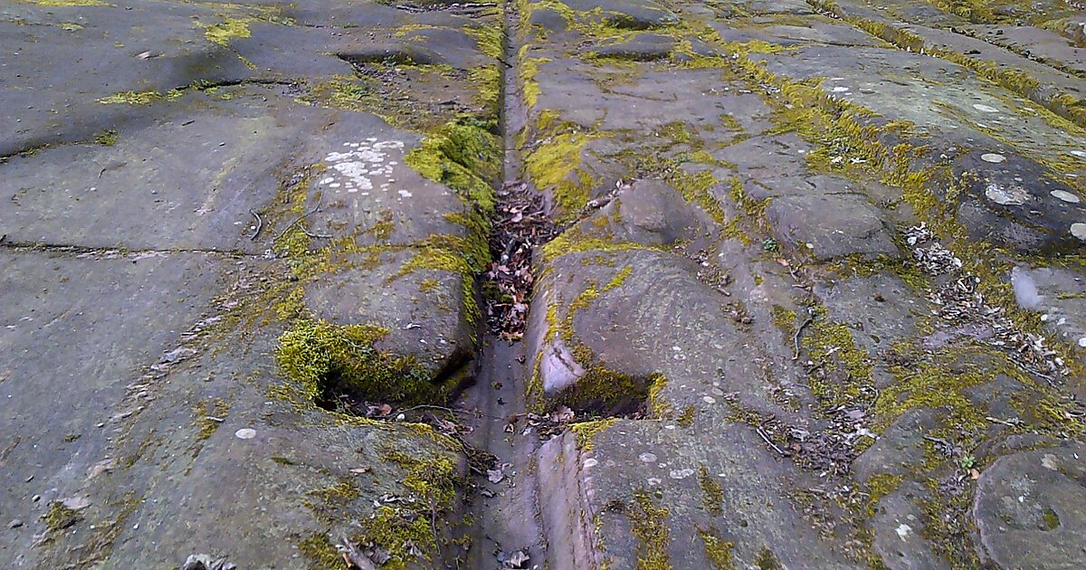 Col de Saverne in Saverne Tripomatic
