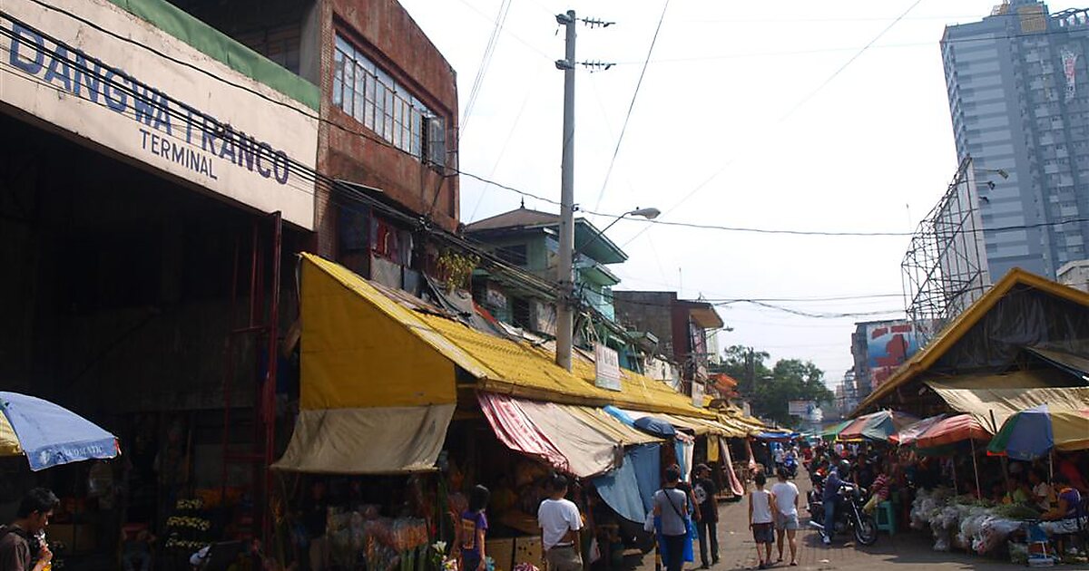 Dangwa Flower Market in Manila, Philippines | Tripomatic