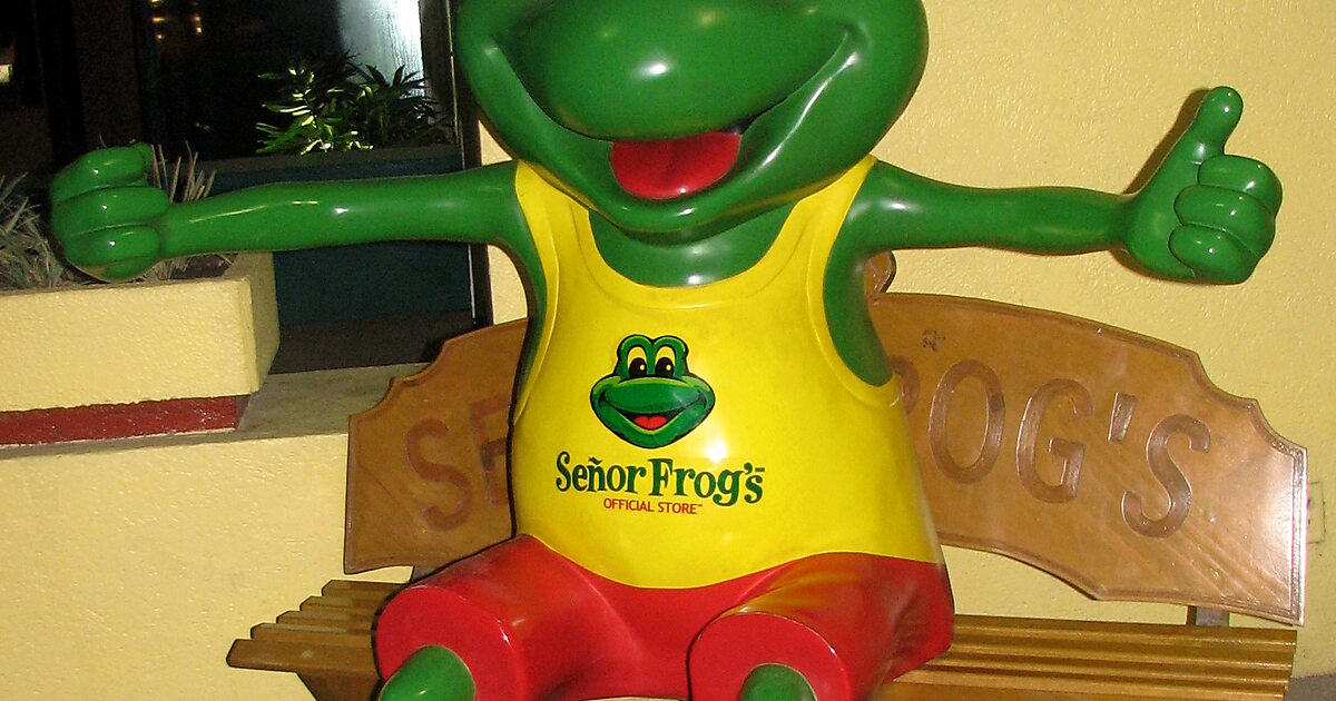 Señor Frogs in Cancún Sygic Travel