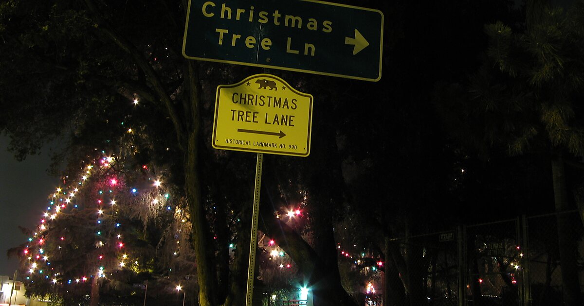 Christmas Tree Lane in Altadena, United States Sygic Travel