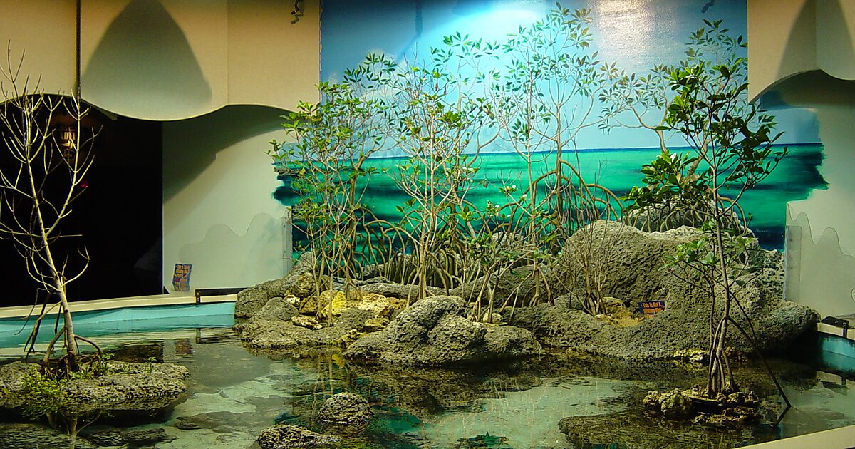 Oklahoma Aquarium in Jenks, Oklahoma, USA Sygic Travel