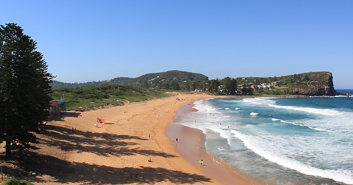 Avalon Beach in Northern Beaches, Australia | Tripomatic