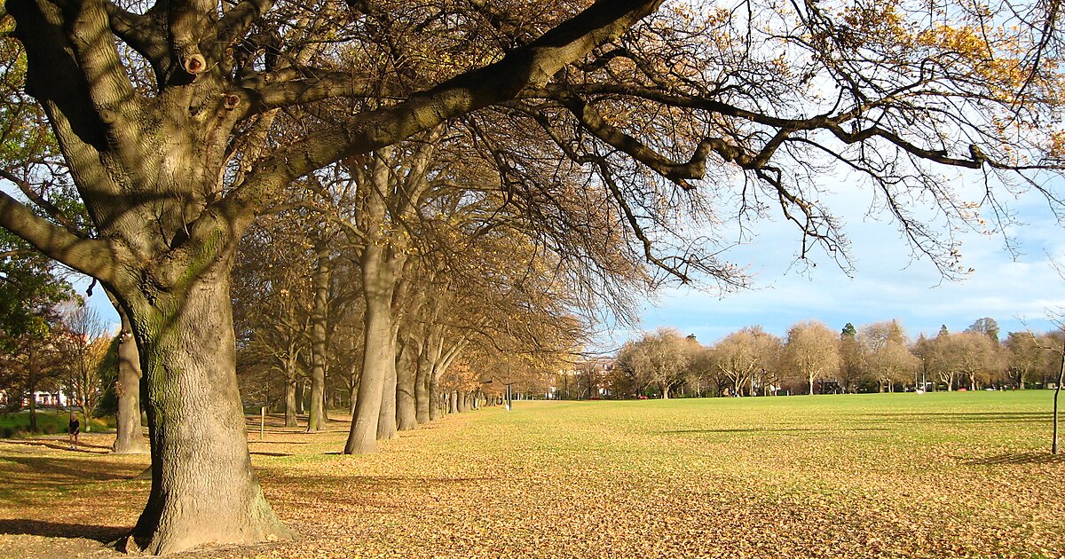 Hagley Park South in Christchurch, New Zealand | Tripomatic