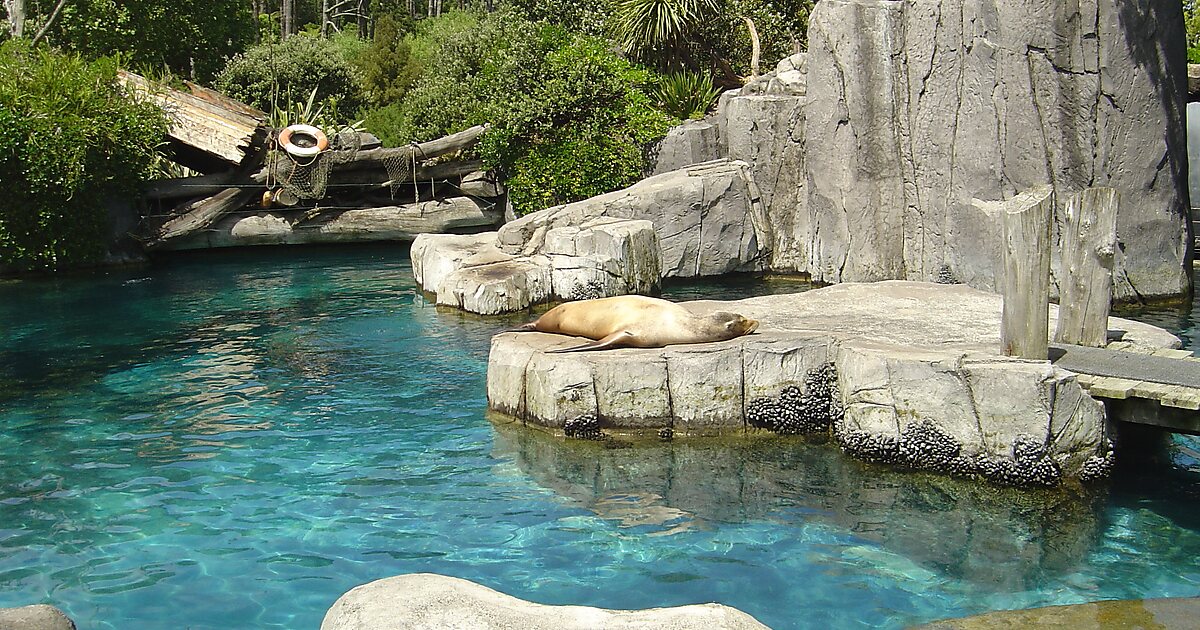 Auckland Zoo in Auckland, New Zealand | Tripomatic