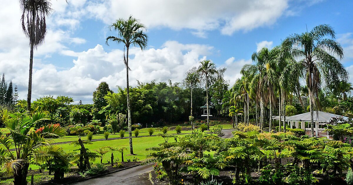 Nani Mau Gardens in Hilo, Hawaii | Tripomatic