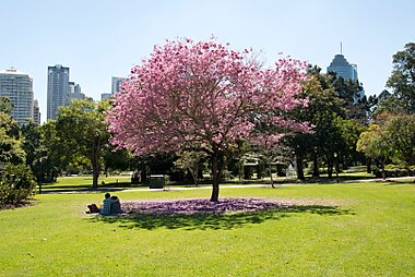 brisbane tourist map