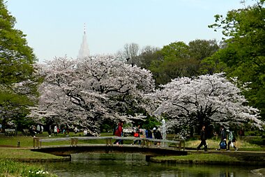 tokyo tourist attractions map