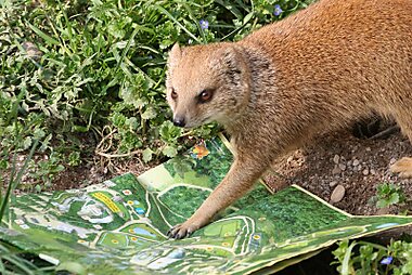 travel zoo italy