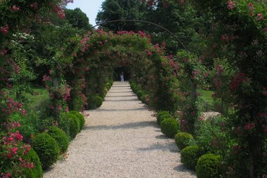 Planting Fields Arboretum