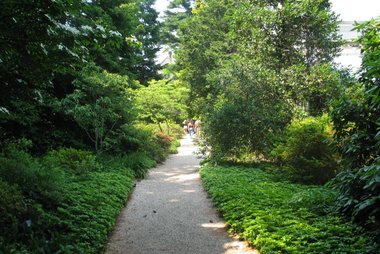 Planting Fields Arboretum