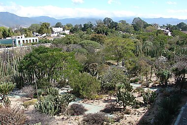 tourist map of oaxaca mexico