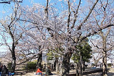 tourist map of fukuoka japan