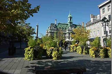 montreal free tourist attractions