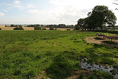 St. Andrews Farmhouse Cheese