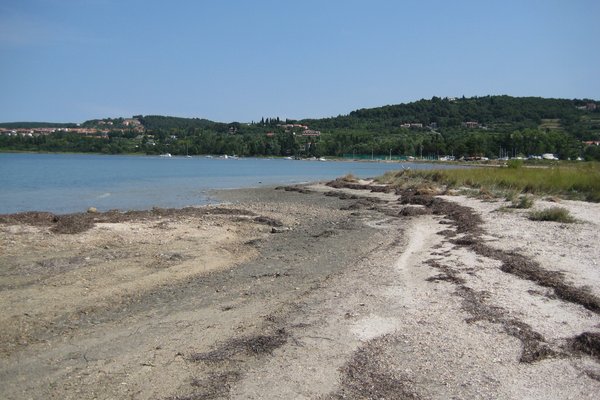 Ankaran Beaches