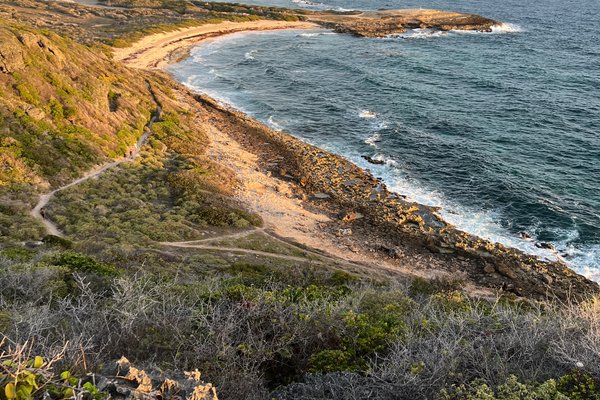 Castles Headland