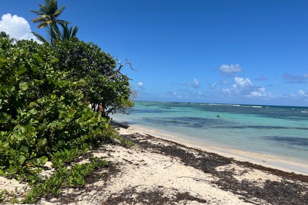 Plage de Bois Jolan