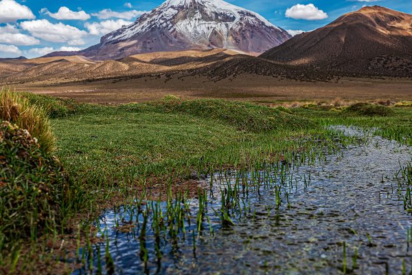 Sajama National Park Highlights