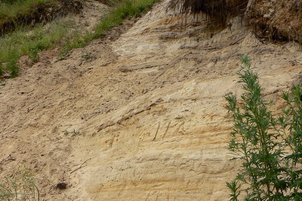 Vetygalos atodanga