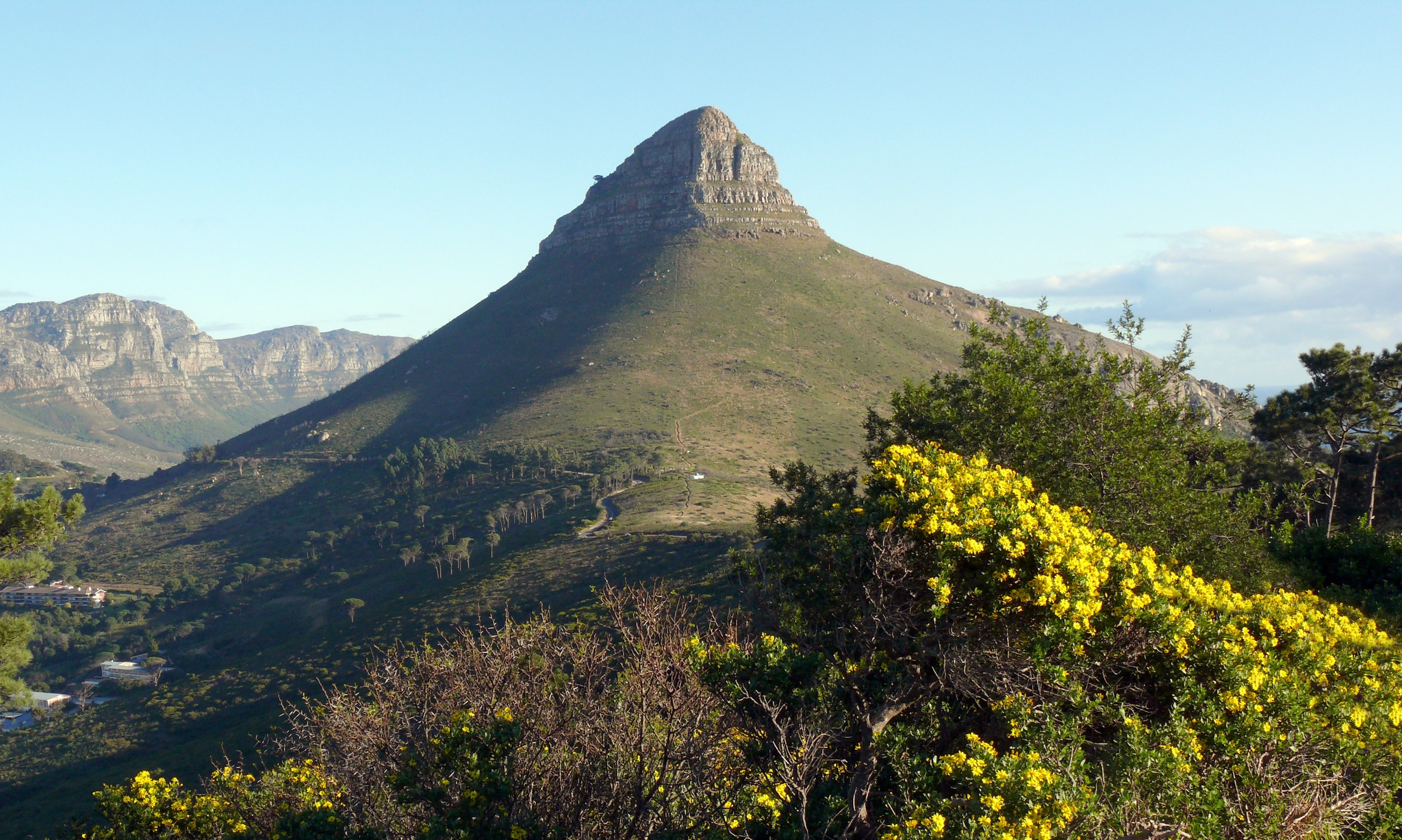 Lion's Head