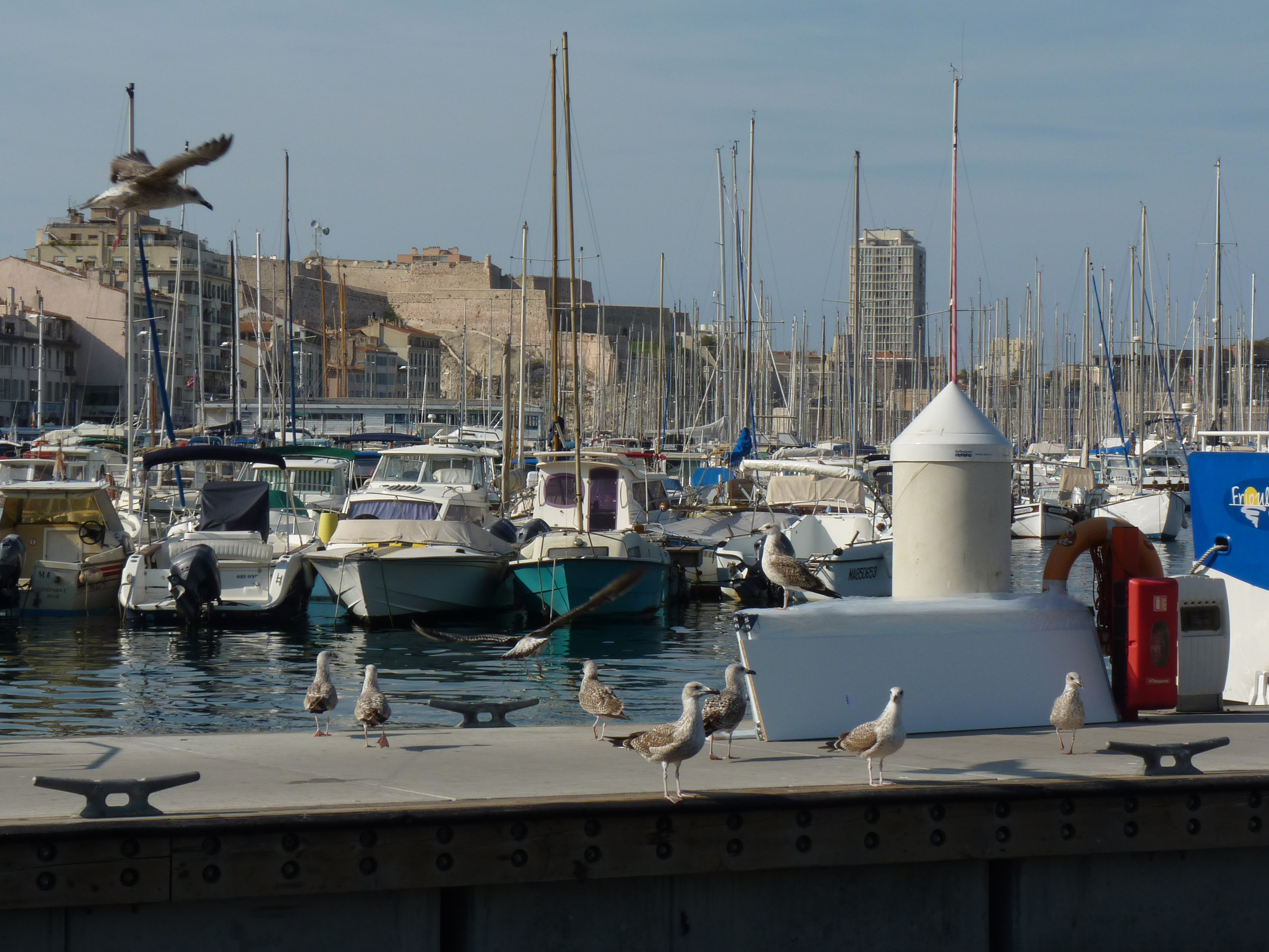 Old Port of Marseille