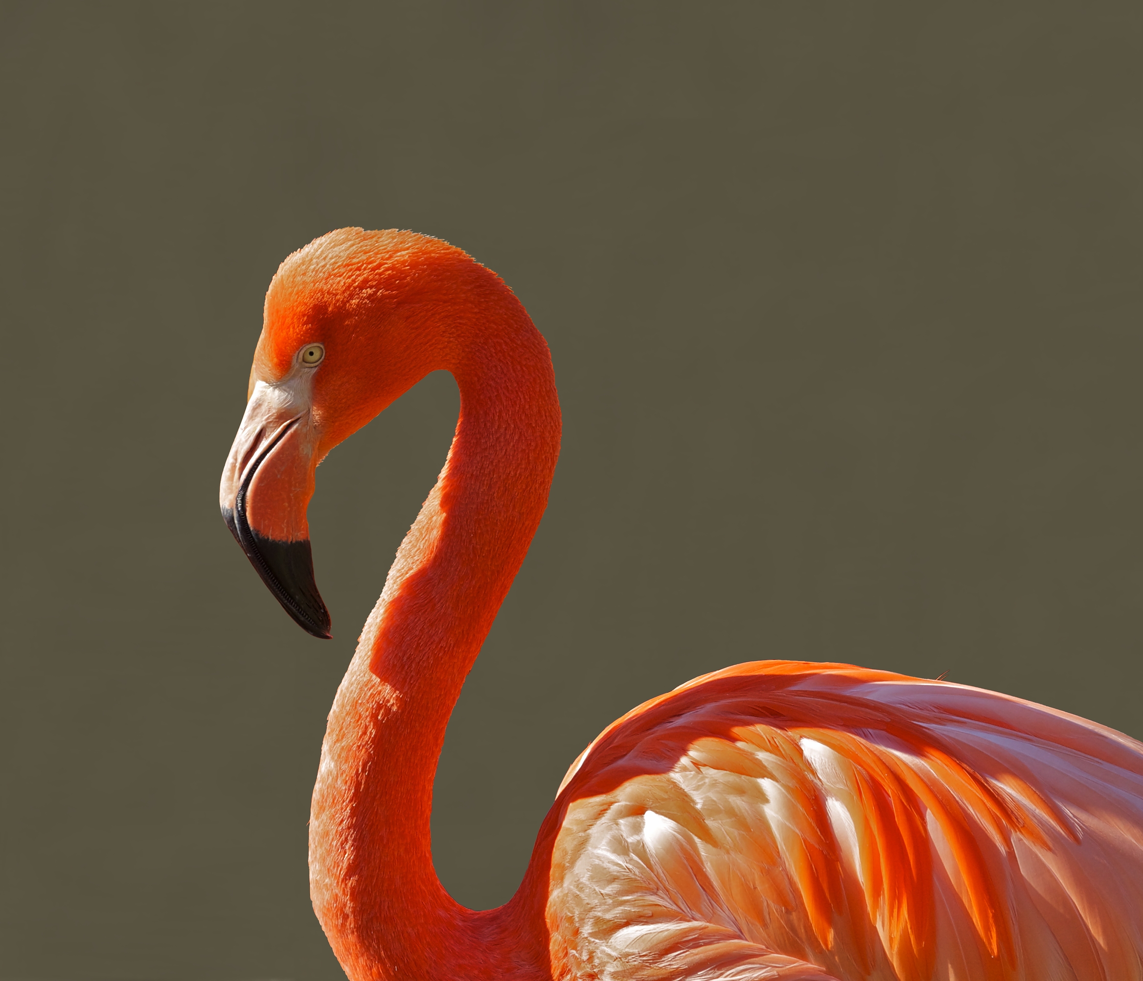Zoo Vienna Schönbrunn