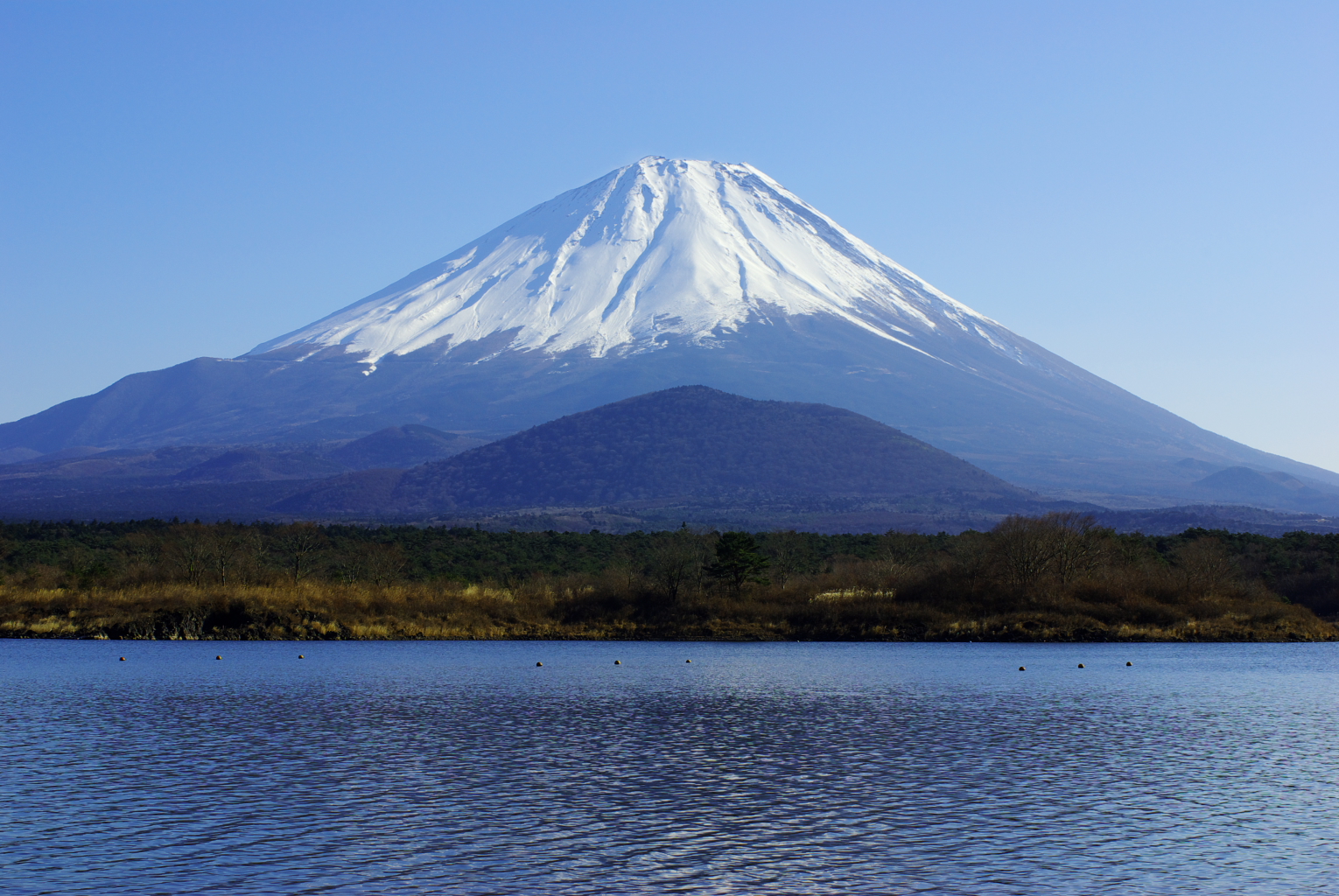 Fuji