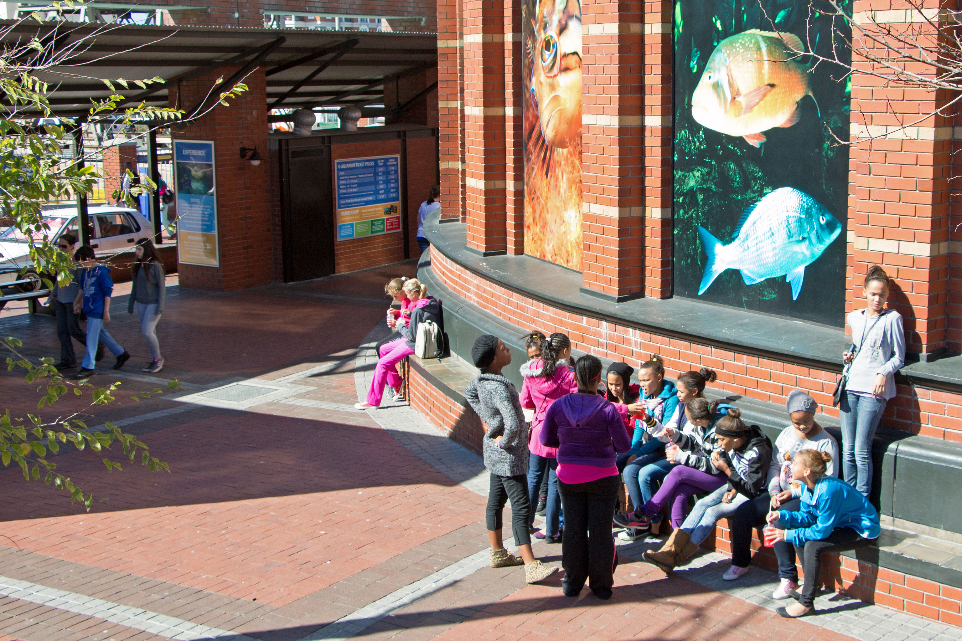 Two Oceans Aquarium