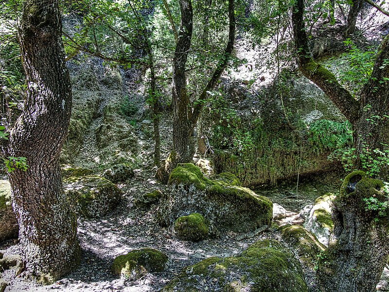 Butterflies Valley Park