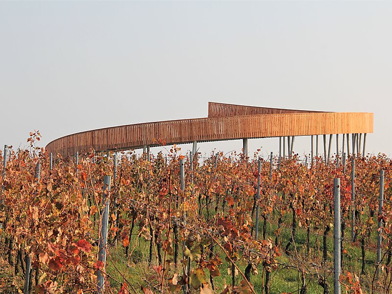 Stezka nad vinohrady