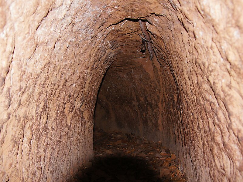 Củ Chi Tunnels