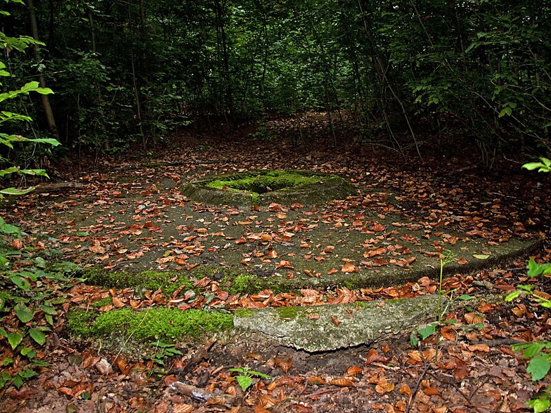 Bachem Ba 349 Natter