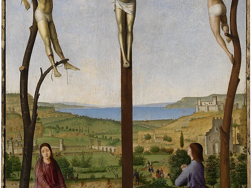 Prince William V Gallery