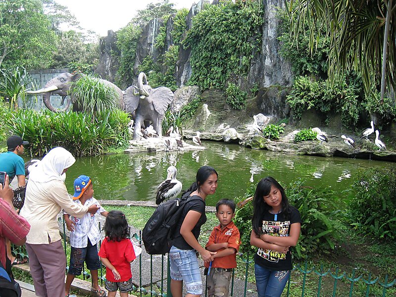 Ragunan Zoo in Jakarta, Indonesia | Sygic Travel