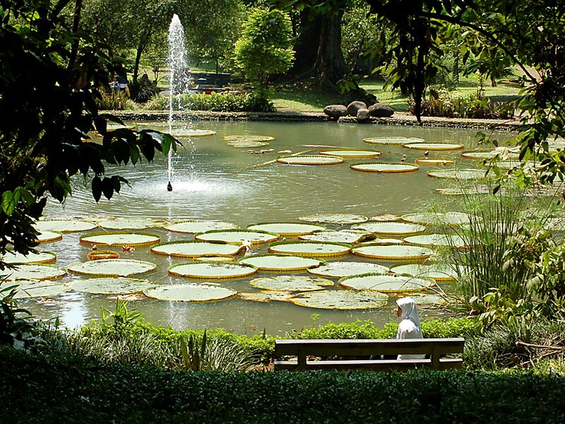 bogor jardin botanique