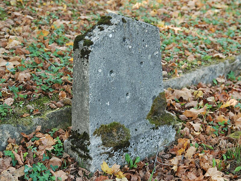 Cmentarz wojenny nr 110 – Binarowa