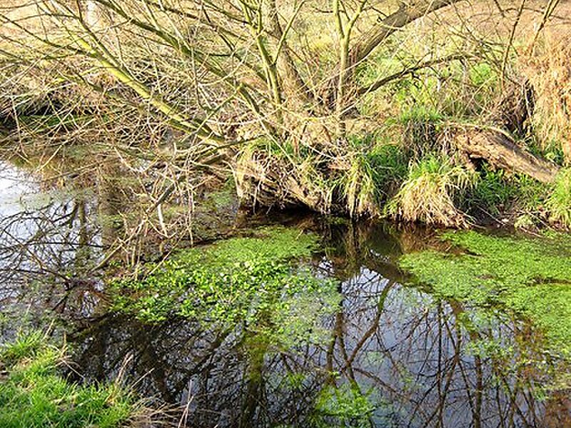 Cherry Orchard Jubilee Country Park